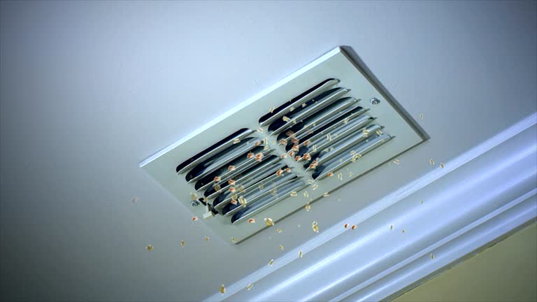 Best Air Duct Cleaning Company Near Me  in Lawrenceburg, KY